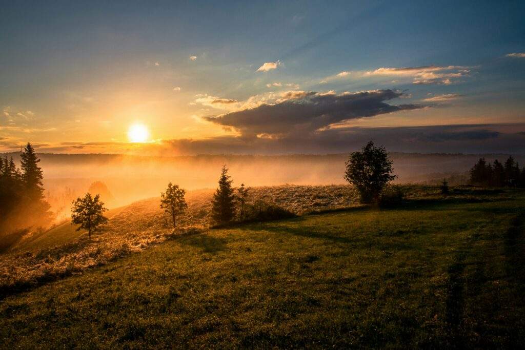 The Reassured Soul: Surah Al-Fajr (89:27-30) The Reassured Soul: Surah Al-Fajr (89:27-30)